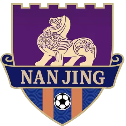 Logo Nanjing Team
