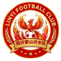 Linyi Team
