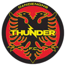 Logo Dandenong Thunder U23